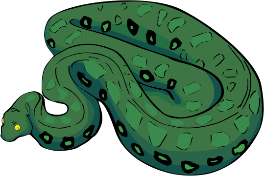 Anaconda
